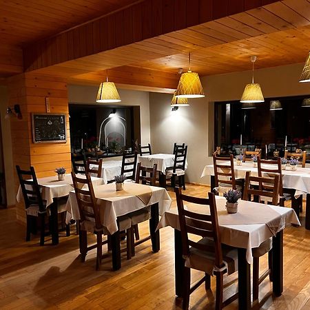 Bucovina Lodge Pension Vama  Buitenkant foto