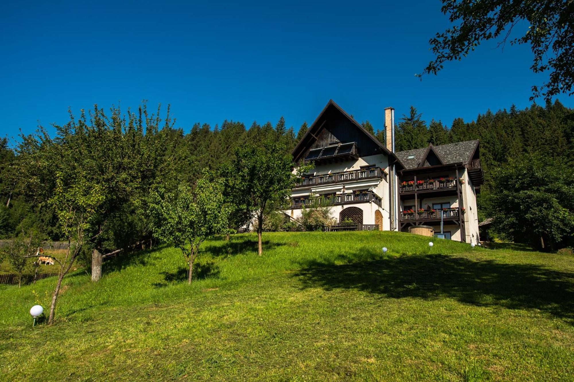 Bucovina Lodge Pension Vama  Buitenkant foto