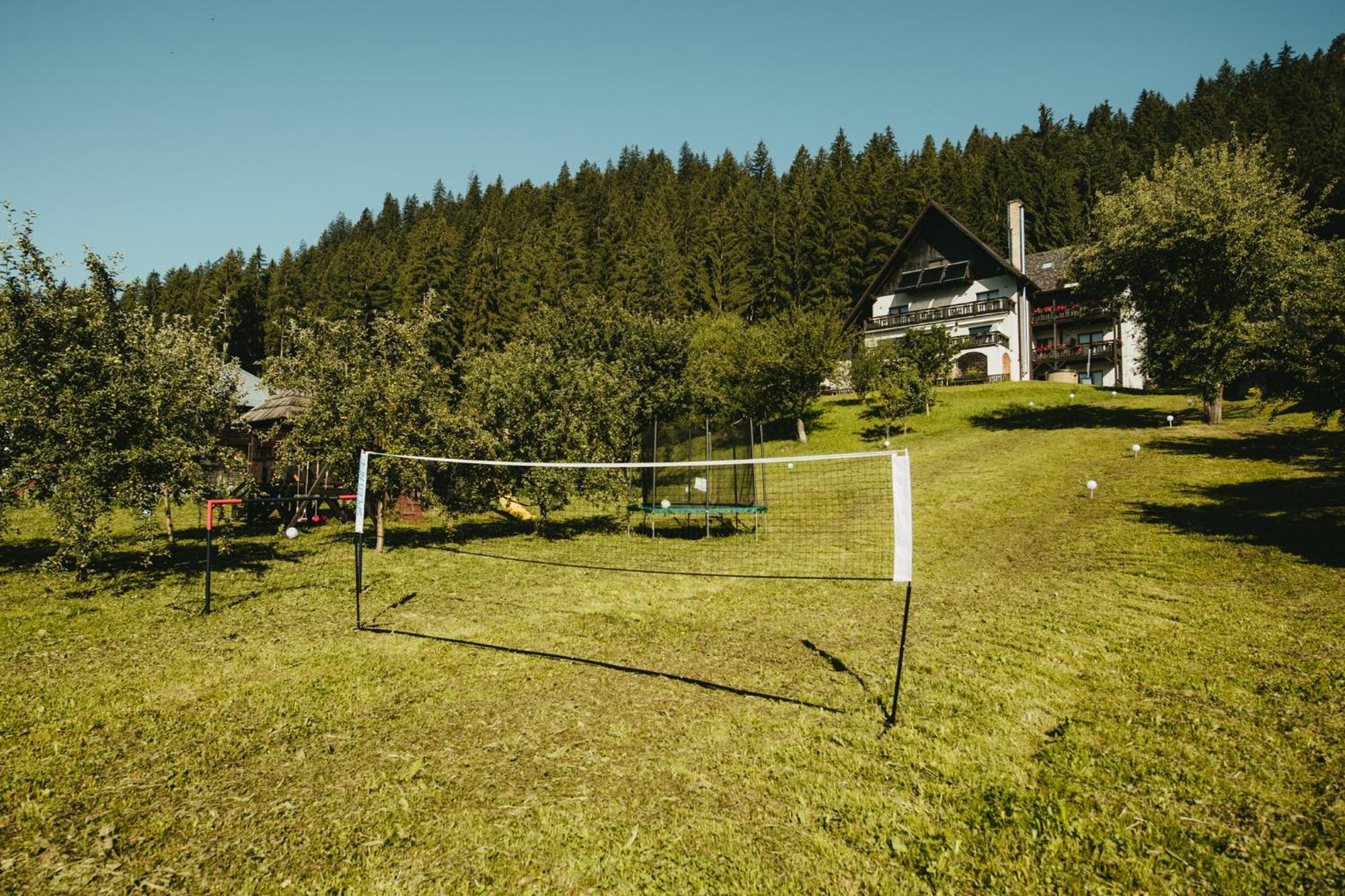 Bucovina Lodge Pension Vama  Buitenkant foto