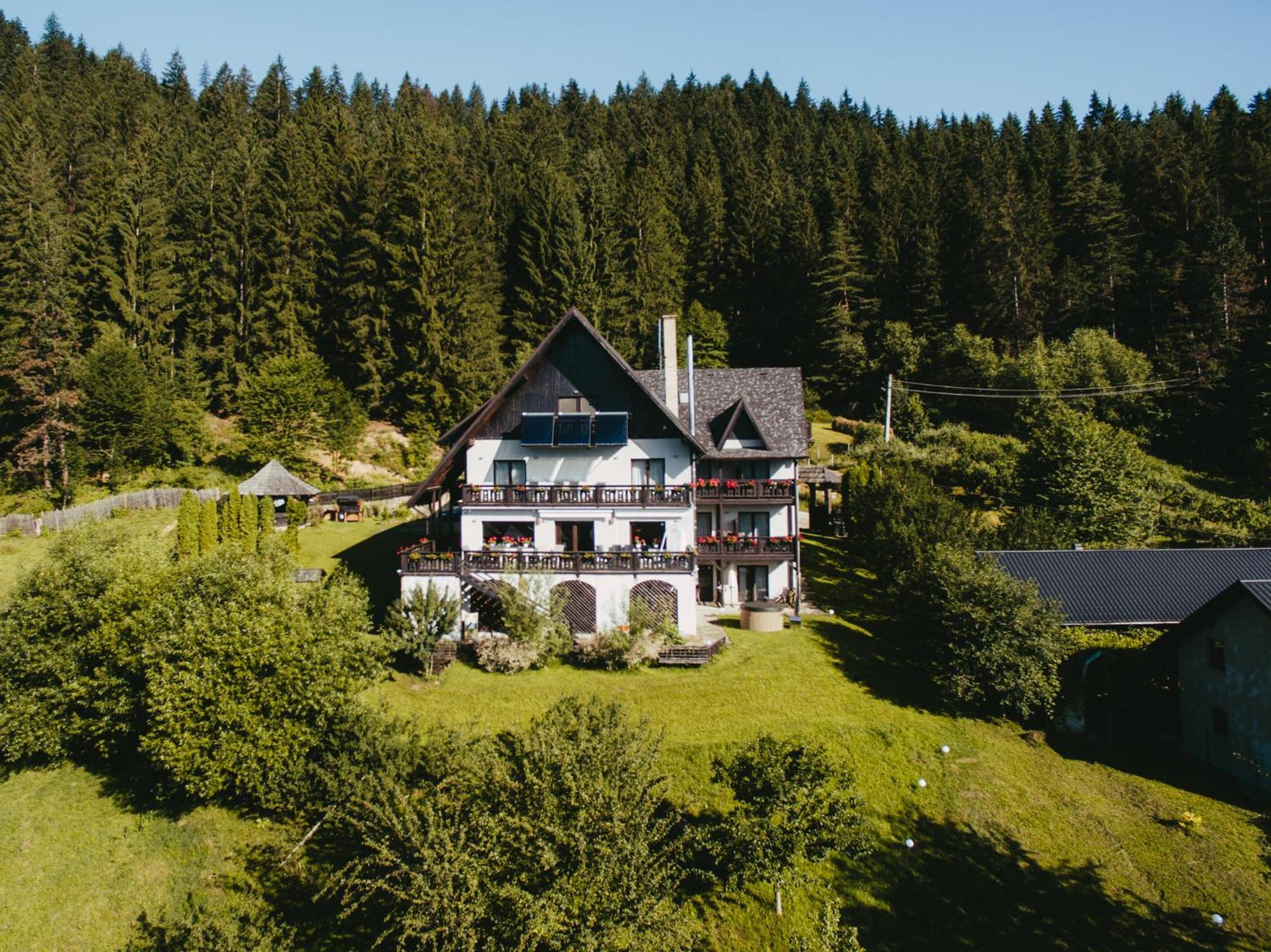 Bucovina Lodge Pension Vama  Buitenkant foto