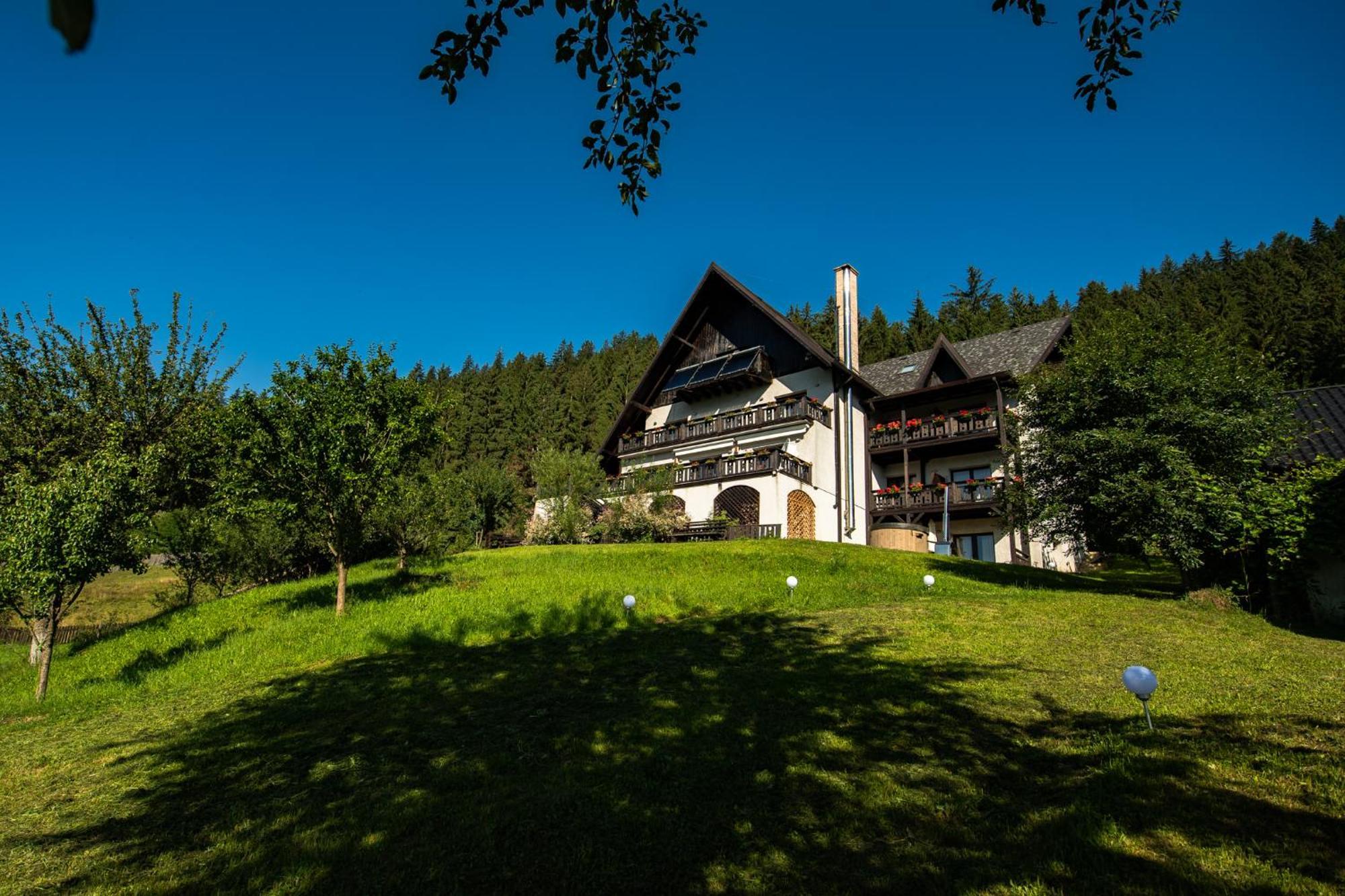 Bucovina Lodge Pension Vama  Buitenkant foto
